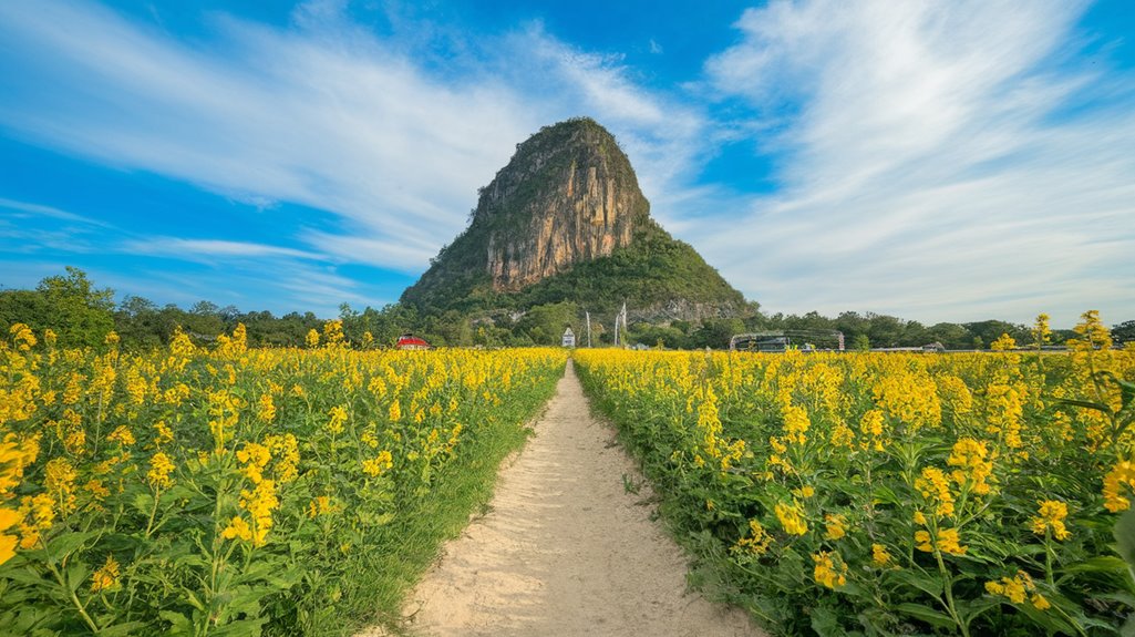 gold price rises sharply